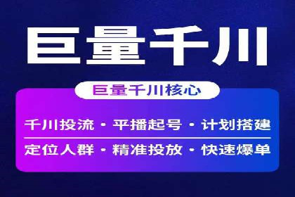 某公司通过百度竞价实现业务快速增长的案例